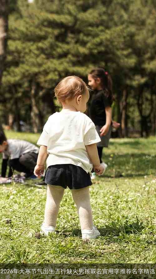 2026年大寒节气出生五行缺火男孩取名宜用字推荐名字精选