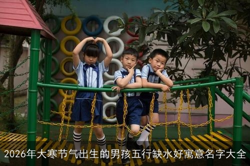2026年大寒节气出生的男孩五行缺水好寓意名字大全
