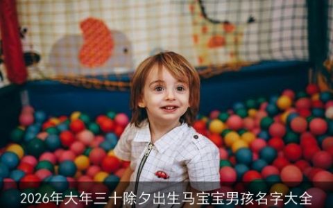 2026年大年三十除夕出生马宝宝男孩名字大全