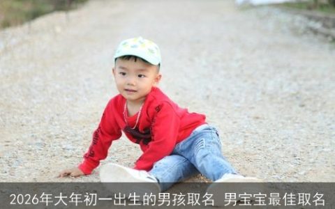 2026年大年初一出生的男孩取名 男宝宝最佳取名