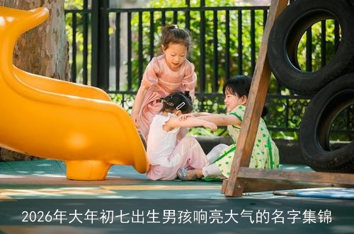 2026年大年初七出生男孩响亮大气的名字集锦