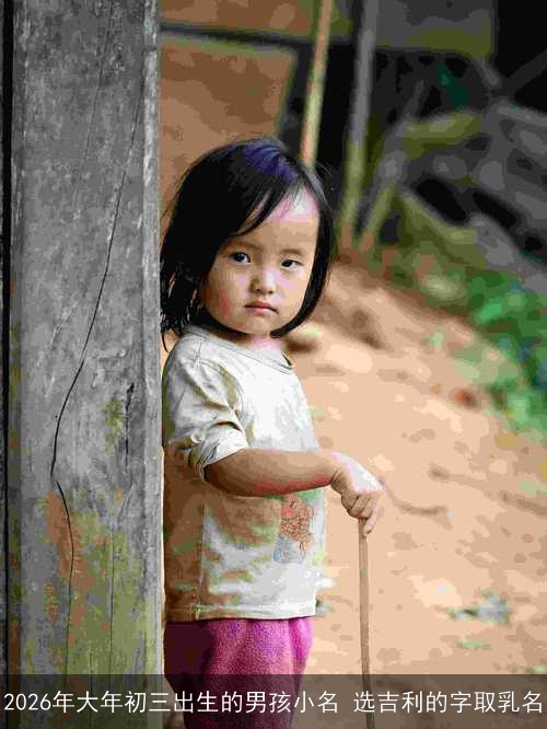 2026年大年初三出生的男孩小名 选吉利的字取乳名