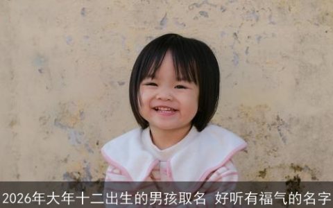 2026年大年十二出生的男孩取名 好听有福气的名字
