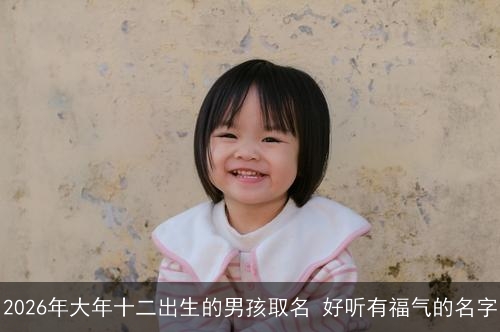 2026年大年十二出生的男孩取名 好听有福气的名字