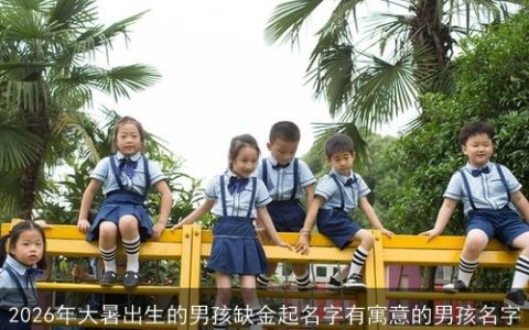 2026年大暑出生的男孩缺金起名字有寓意的男孩名字