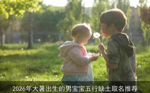 2026年大暑出生的男宝宝五行缺土取名推荐