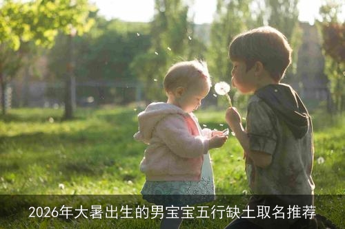 2026年大暑出生的男宝宝五行缺土取名推荐