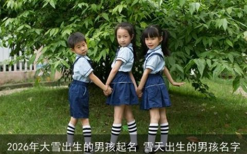 2026年大雪出生的男孩起名 雪天出生的男孩名字