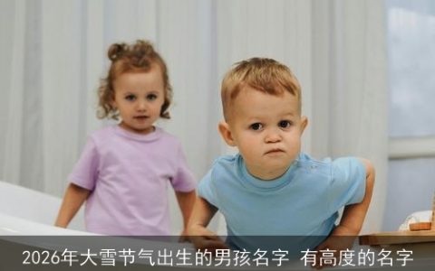 2026年大雪节气出生的男孩名字 有高度的名字