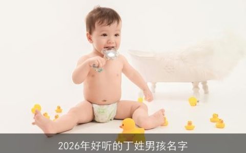 2026年好听的丁姓男孩名字