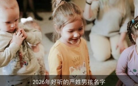 2026年好听的严姓男孩名字
