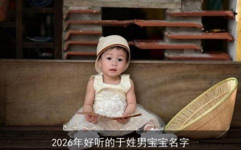 2026年好听的于姓男宝宝名字