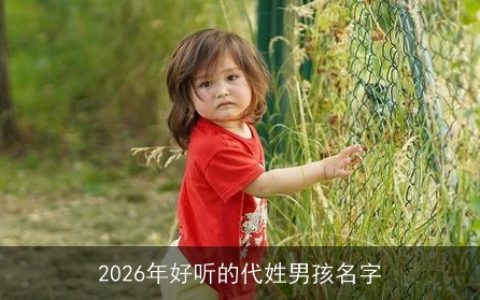 2026年好听的代姓男孩名字