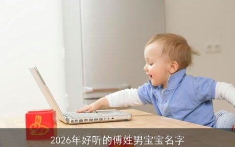 2026年好听的傅姓男宝宝名字