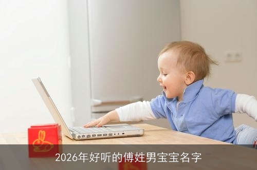2026年好听的傅姓男宝宝名字