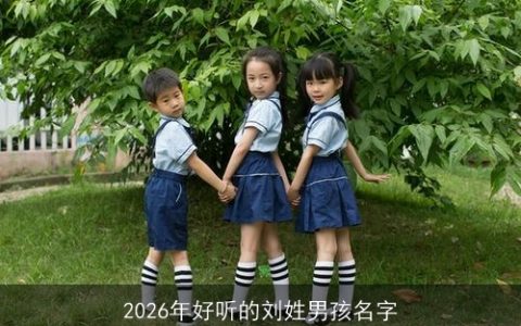 2026年好听的刘姓男孩名字
