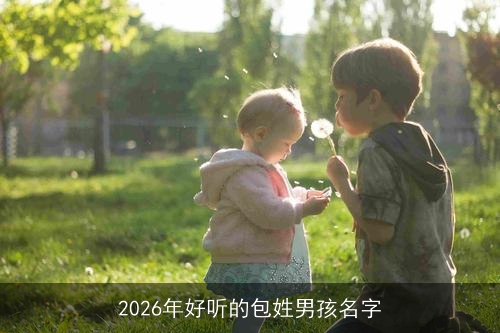 2026年好听的包姓男孩名字