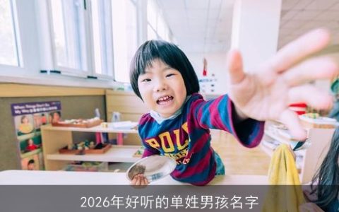 2026年好听的单姓男孩名字