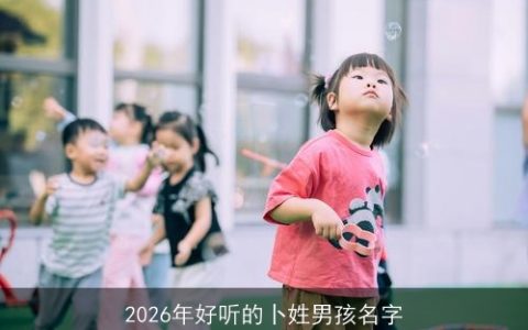 2026年好听的卜姓男孩名字