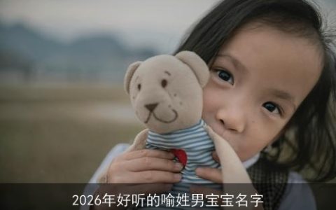 2026年好听的喻姓男宝宝名字