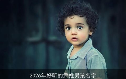 2026年好听的尹姓男孩名字