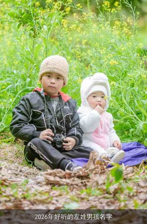 2026年好听的左姓男孩名字