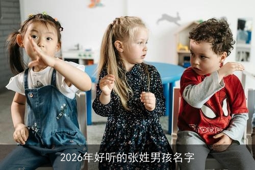 2026年好听的张姓男孩名字