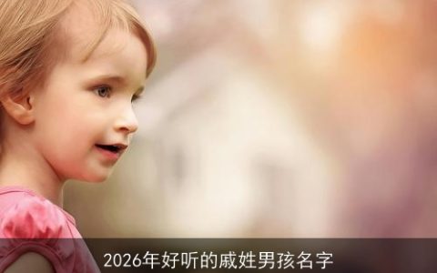 2026年好听的戚姓男孩名字