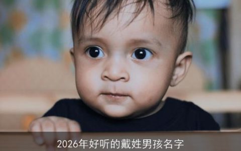 2026年好听的戴姓男孩名字
