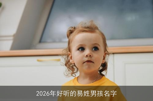 2026年好听的易姓男孩名字