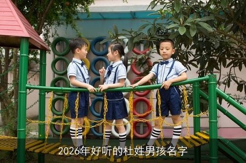 2026年好听的杜姓男孩名字
