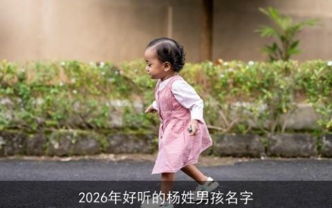 2026年好听的杨姓男孩名字