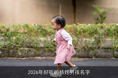 2026年好听的杨姓男孩名字