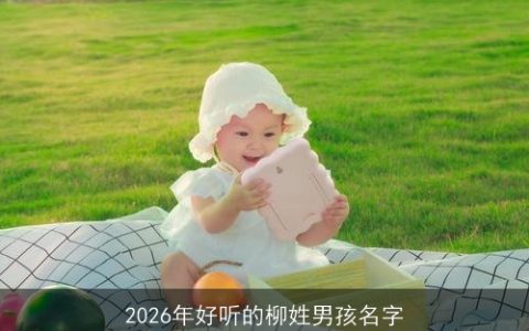 2026年好听的柳姓男孩名字