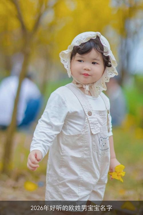 2026年好听的欧姓男宝宝名字