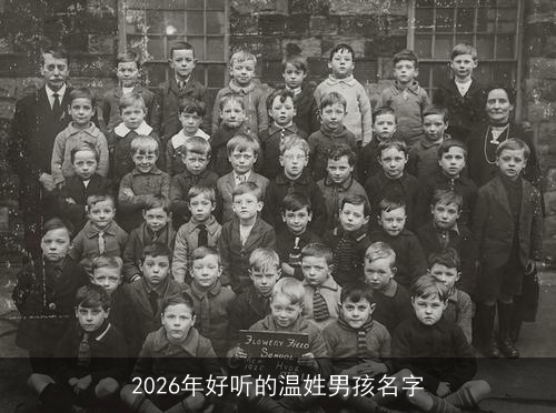 2026年好听的温姓男孩名字