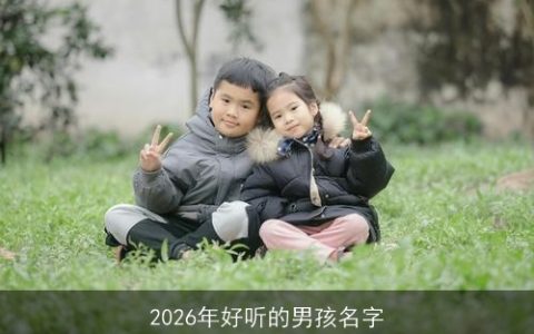 2026年好听的男孩名字