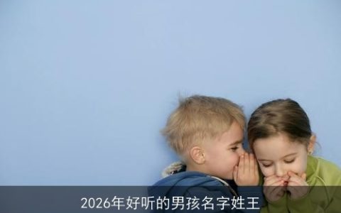 2026年好听的男孩名字姓王