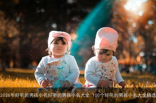 2026年好听的男孩小名好听的男孩小名大全 100个好听的男孩小名大全精选