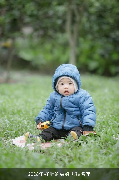 2026年好听的禹姓男孩名字