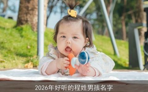 2026年好听的程姓男孩名字
