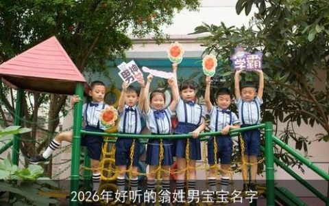 2026年好听的翁姓男宝宝名字