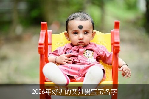 2026年好听的艾姓男宝宝名字