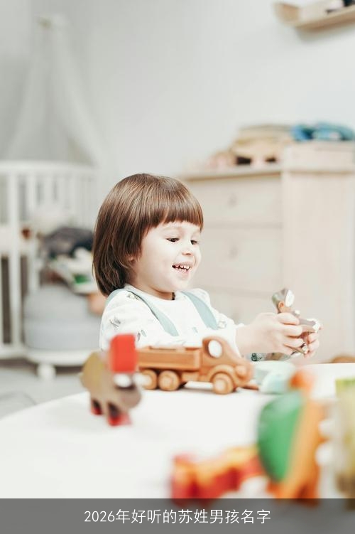 2026年好听的苏姓男孩名字