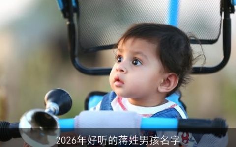 2026年好听的蒋姓男孩名字