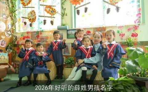 2026年好听的薛姓男孩名字