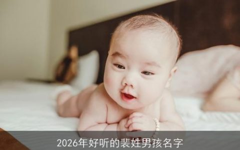 2026年好听的裴姓男孩名字