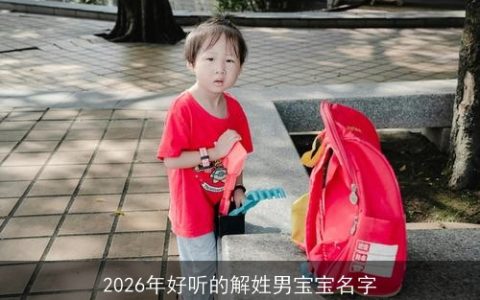 2026年好听的解姓男宝宝名字