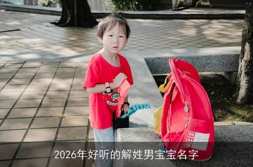 2026年好听的解姓男宝宝名字