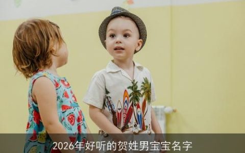 2026年好听的贺姓男宝宝名字